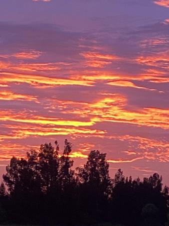 1425 S Header Canal Rd, Fort Pierce, Florida 34945, image 1