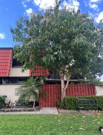 Somerset, 3803 Victoria Dr, West Palm Beach, Florida 33406, image 1
