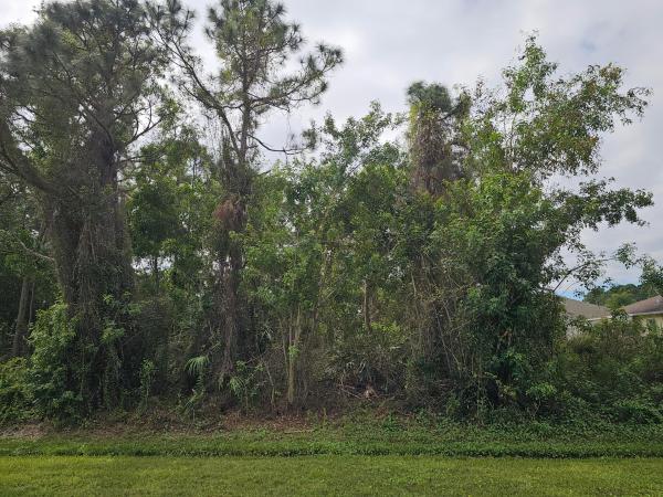 Torino, 5531 NW North Lundy Cir, Port St. Lucie, Florida 34986, image 1