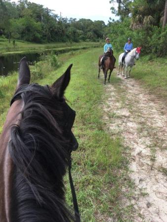 Fox Trail, 1278 Arabian Dr, Loxahatchee, Florida 33470, image 2