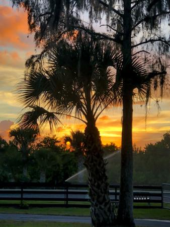 Fox Trail, 1278 Arabian Dr, Loxahatchee, Florida 33470, image 1