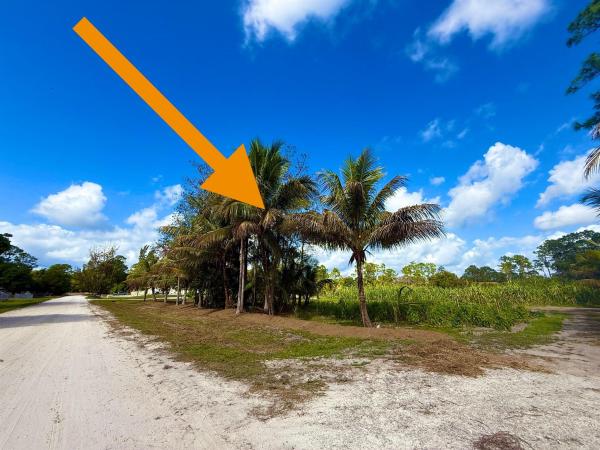 The Acreage Residential, 17853 60, The Acreage, Florida 33470, image 1