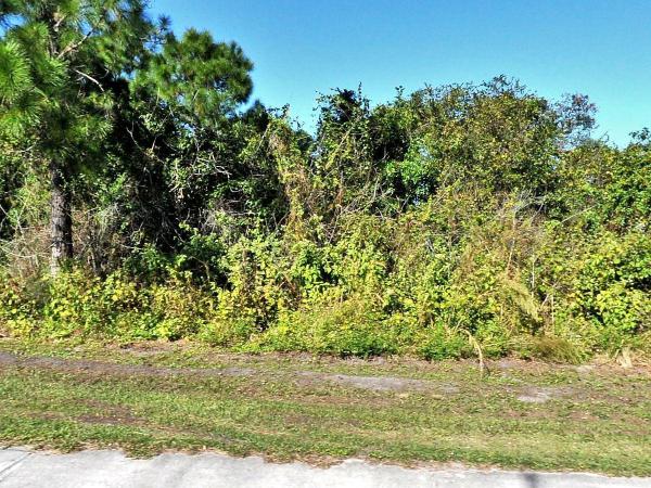 Woodland Trails, 1349 SW Becker Rd, Port St. Lucie, Florida 34953, image 1