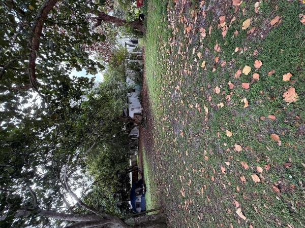 Sky Ranch, 606 Mercury St, West Palm Beach, Florida 33406, image 1