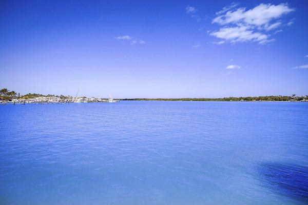 Broadview, 300 Intracoastal Pl #203, Jupiter, Florida 33469, image 1
