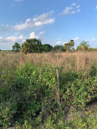 Santa Rosa Groves, 20637 Simone Dr, Loxahatchee, Florida 33470, image 1
