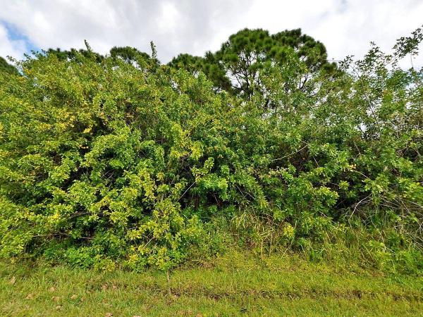 Southbend Lakes Estates, 3300 SE Quay St, Port St. Lucie, Florida 34984, image 1