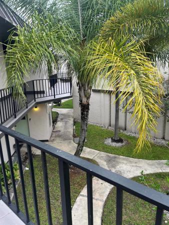 Greenway Village North, 1 Greenway #205, Royal Palm Beach, Florida 33411, image 1
