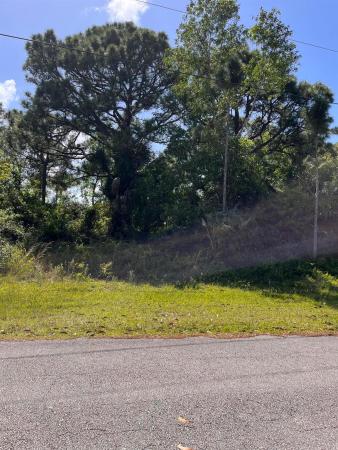 Torino, 5829 NW Culebra Ave, Port St. Lucie, Florida 34986, image 1