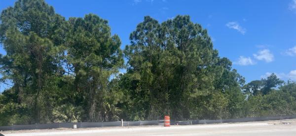 Tulip Park, 3361 SW Port St Lucie Blvd, Port St. Lucie, Florida 34953, image 1