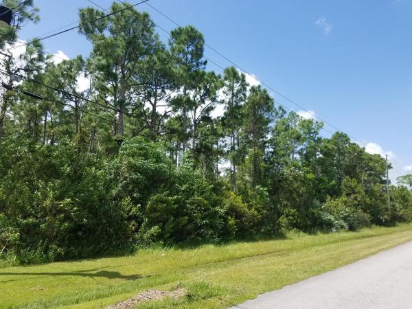 The Acreage, N-11 Valencia Blvd, Loxahatchee, Florida 33470, image 2