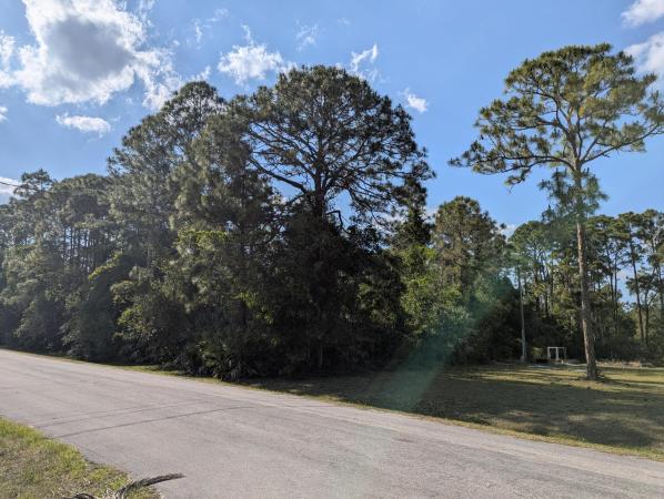 The Acreage, 15314 97th Rd N, West Palm Beach, Florida 33412, image 2