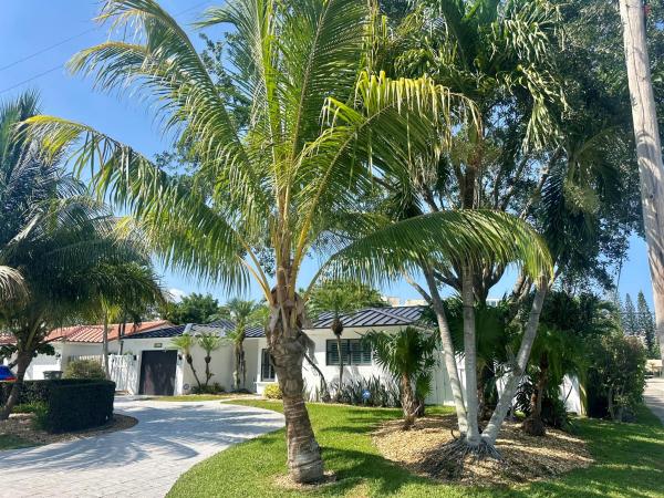 Tunison Palms, 801 NW 6th Dr, Boca Raton, Florida 33486, image 2