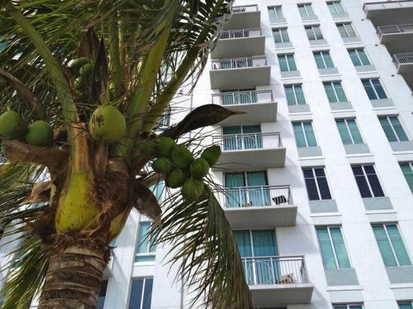 The Edge, 300 S Australian Ave #508, West Palm Beach, Florida 33401, image 1