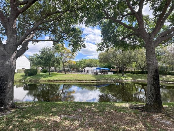 Ginger Tree, 3206 Carambola Cir, Coconut Creek, Florida 33066, image 1
