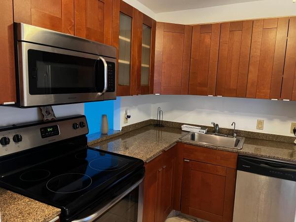 Bravura, 3101 N Country Club Dr #510, Aventura, Florida 33180, image 1