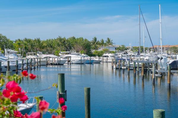 Cypress Island, 2701 Cypress Island Dr, Palm Beach Gardens, Florida 33410, image 1