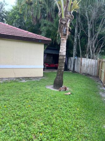 Wellington Downs, 12147 Cuddington Ct, Wellington, Florida 33414, image 1