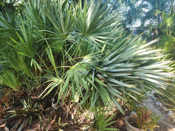 Kenmont, 910 Mckee Ln, Delray Beach, Florida 33483, image 1