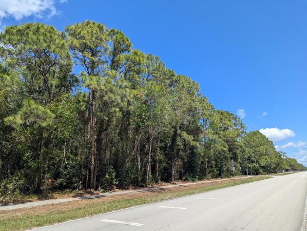 The Acreage, J-238 Mandarin Blvd, Loxahatchee, Florida 33470, image 1