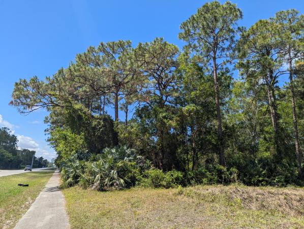 The Acreage, 17523 77th Ln N, Loxahatchee, Florida 33470, image 2