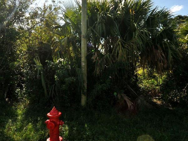 884 SW Mccoy Ave, Port St. Lucie, Florida 34953, image 2