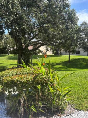Windwood, 479 Hardwood Pl #479, Boca Raton, Florida 33431, image 1
