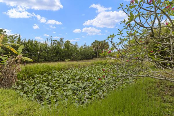 The Acreage, 6342 120th Ave N, West Palm Beach, Florida 33412, image 1