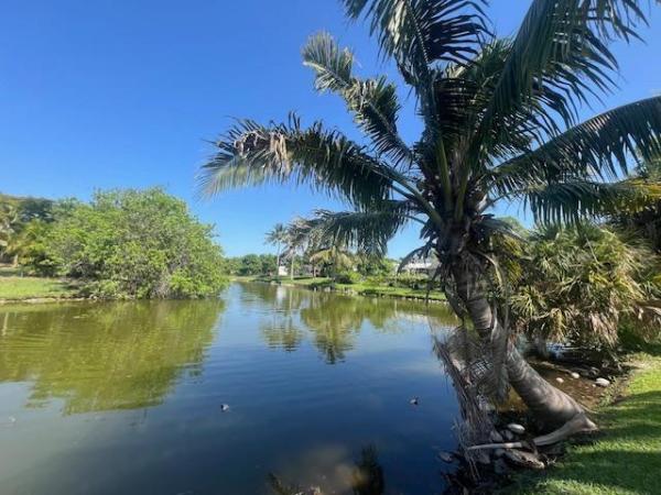 The Willows, Xxx Starling Ave, Royal Palm Beach, Florida 33411, image 2