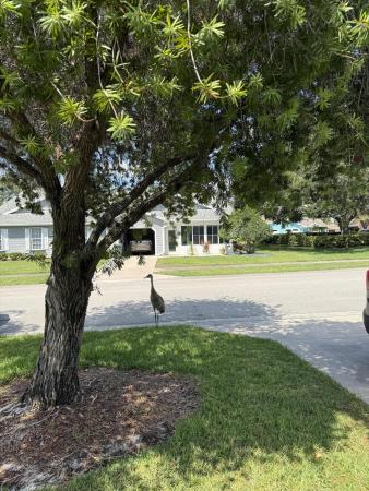 Garden Villas At Gator Trace, 4050 Gator Trace Rd, Fort Pierce, Florida 34982, image 2