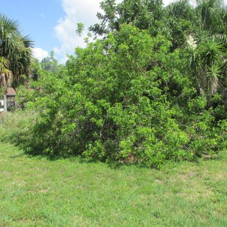 Sandpiper Bay, 1613 SE Grapeland Ave, Port St. Lucie, Florida 34952, image 2