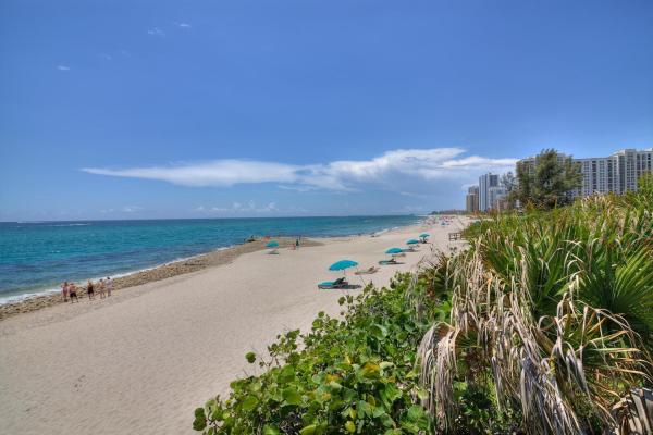 Martinique, 4000 N Ocean Dr #704, Riviera Beach, Florida 33404, image 1