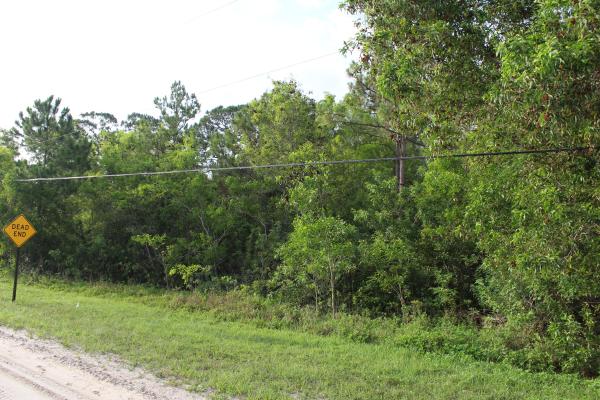 The Acreage, ''17395'' 94th St STREET, Loxahatchee, Florida 33470, image 1