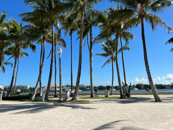 Northwood Pines, 626 33rd St, West Palm Beach, Florida 33407, image 1
