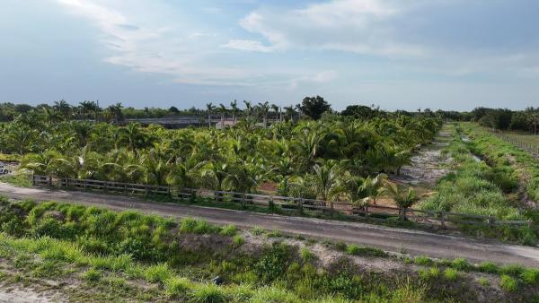 Santa Rosa Groves, Xxxx Bedu Ct, Loxahatchee, Florida 33470, image 1