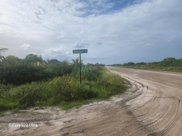 Santa Rosa Groves, 6746 Dennis St, Loxahatchee, Florida 33470, image 1