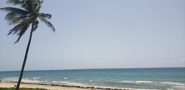 Wiltshire House, 2909 S Ocean Blvd #2b2, Highland Beach, Florida 33487, image 1