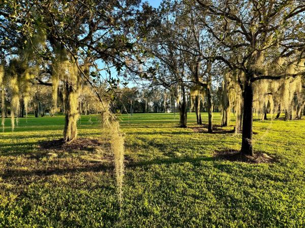 Tesoro Club, 155 SE Bella Strano, Port St. Lucie, Florida 34984, image 3