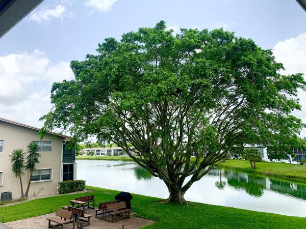 76 Chatham D, West Palm Beach, Florida 33417, image 1