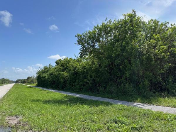 The Acreage, Xxxx 37th Pl, Loxahatchee, Florida 33470, image 1