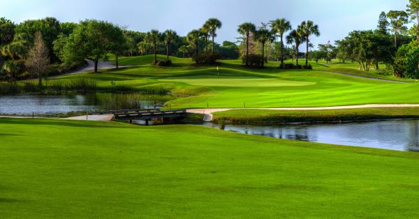 Fairway Point At Boca West Country Club, 20310 Fairway Oaks Dr #161, Boca Raton, Florida 33434, image 1