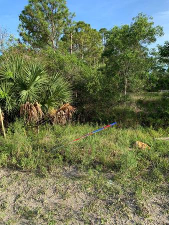 The Acreage, Lot 5010 - Seminole Pratt Whitney Rd, Loxahatchee, Florida 33470, image 1
