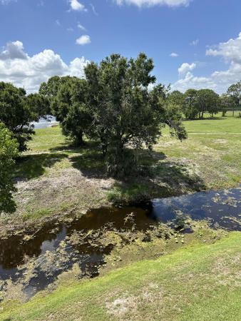 Arissa Place, 2080 Greenview Shores Blvd, Wellington, Florida 33414, image 1