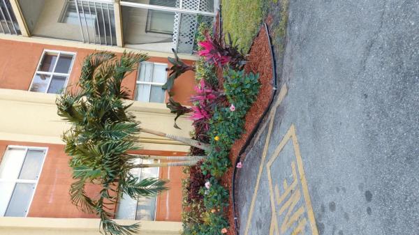 Royal Point, 3710 NW 21st St #214, Lauderdale Lakes, Florida 33311, image 1
