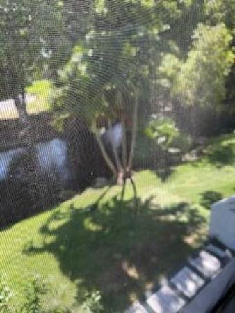 Racquet Club Village, 303 Racquet Club Rd #201, Weston, Florida 33326, image 1
