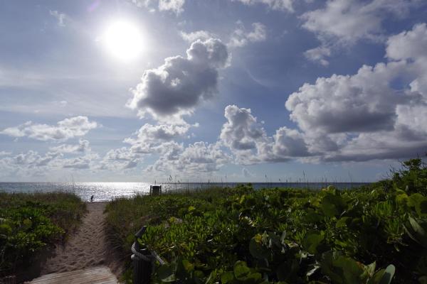 The Atrium At Palm Beach Shores, 145 S Ocean Ave #808, Palm Beach Shores, Florida 33404, image 1