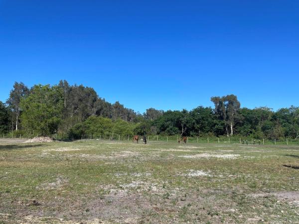 The Acreage, 12398 Tangerine Blvd, West Palm Beach, Florida 33412, image 1