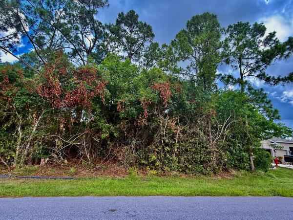 4174 SW Batavia St, Port St. Lucie, Florida 34953, image 1