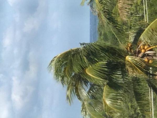 Jupiter Bay East, 275 Palm Ave #C503, Jupiter, Florida 33477, image 1