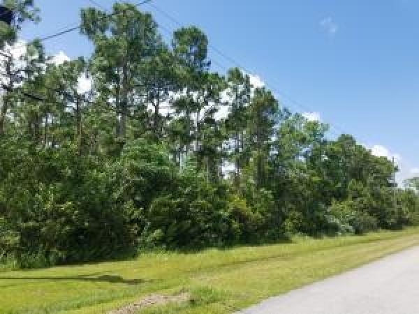 The Acreage Residential, Z-439 Key Lime Blvd, The Acreage, Florida 33412, image 1